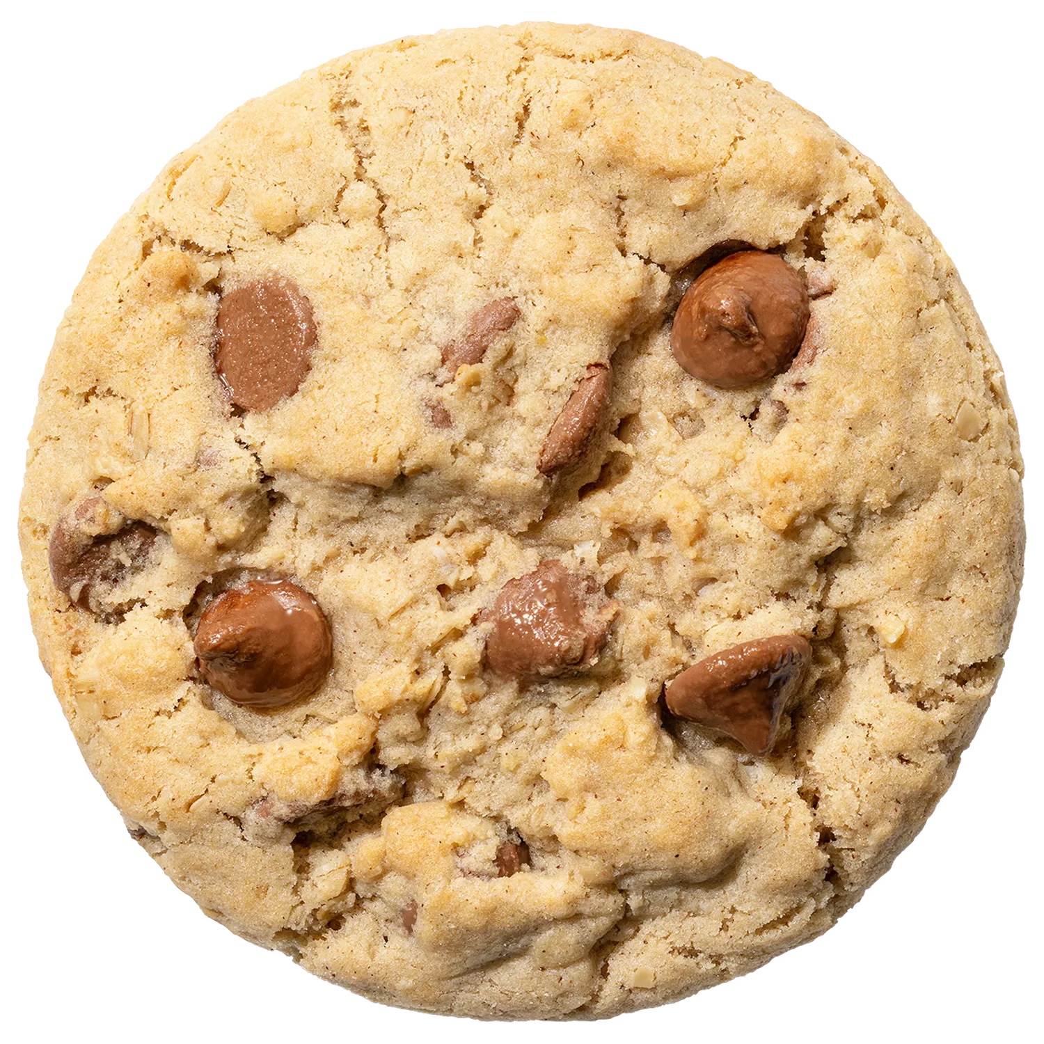 Oatmeal Chocolate Chip